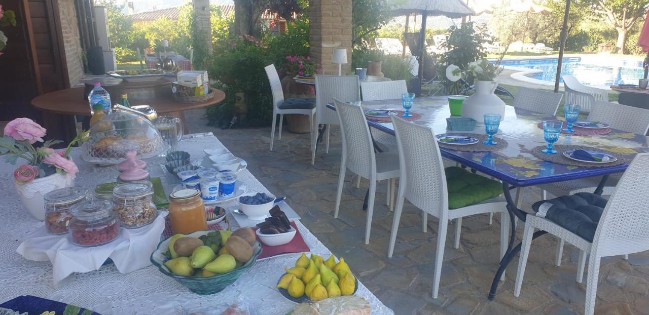 مبيت وإفطار بروفا Il Belvederino المظهر الخارجي الصورة